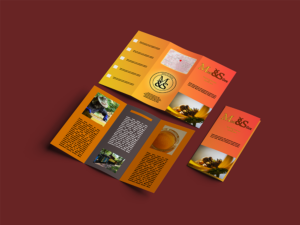 Visuel dépliant 3 volets FBGraphiste